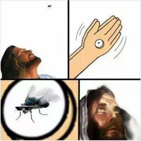 agujeros de estar colgado,crucificción,Jesus,lo pillas?,matar,mosca,Mosquito