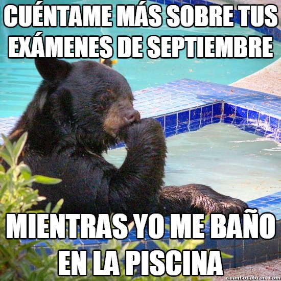 bañito,exámenes,oso,piscina,septiembre