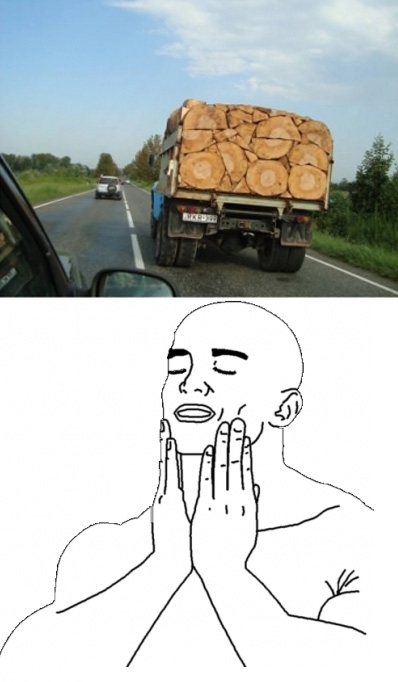 camion,coche,orden,perfección,satisfacción,troncos
