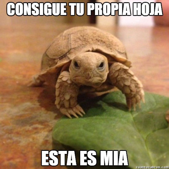 Meme_otros - Las tortugas no son muy de compartir