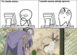 Enlace a Y por esto uno ya ni de los conejos se puede fiar