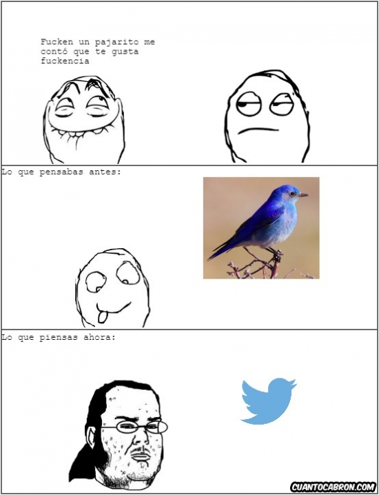Ahora,Antes,Azul,Pajaro,Twitter