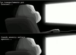 Enlace a Poniéndole más color a tu vida del que nunca te hubieras imaginado