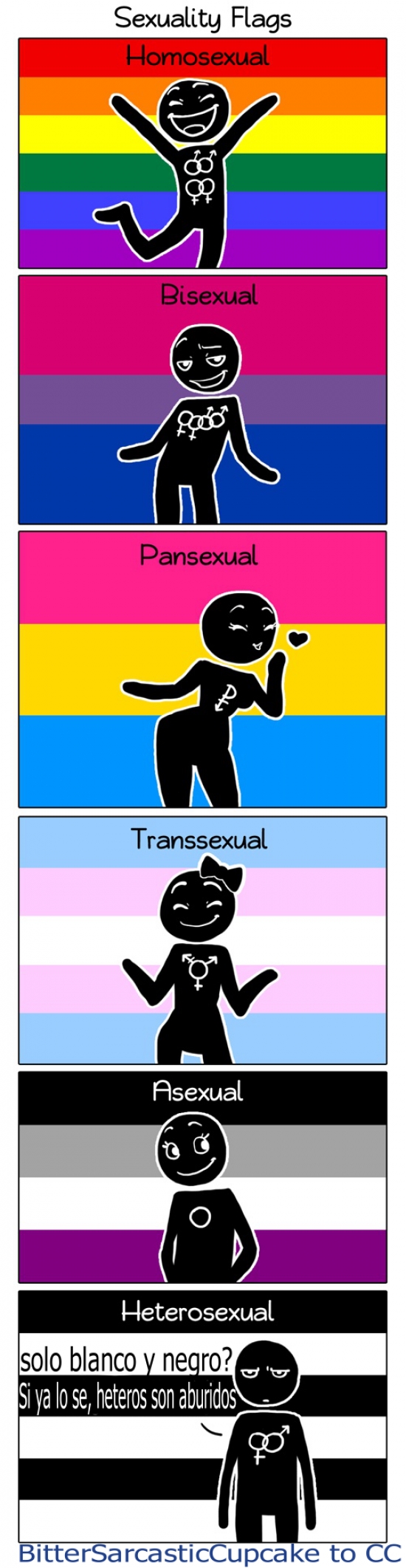 banderas,bis,colores,formas de ver la vida,heteros,homos,trans