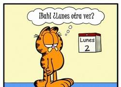 Enlace a El odio a los lunes un paso más allá