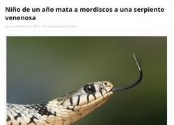 Enlace a Hijo de una leyenda