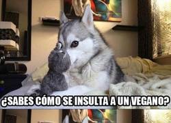 Enlace a El perro comediante ataca denuevo