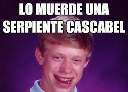 Enlace a Las serpientes no son sus mejores amigas