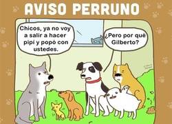 Enlace a La llegada de las decoraciones navideñas pueden dar pie a confusión