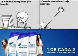 Enlace a Los estudios no mienten, pero pueden existir excepciones