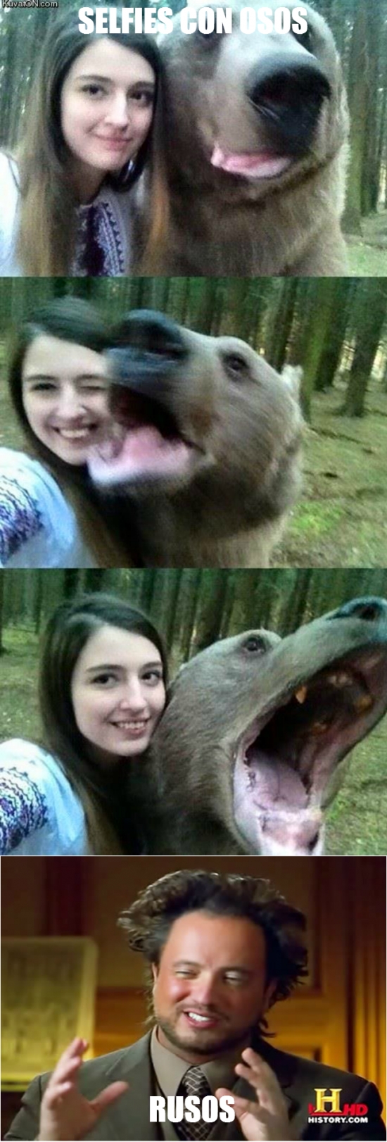 bosque,cosas de rusos,osos,rusia,rusos,selfies,¿mascota?