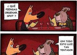 Enlace a Con tantas opciones no es fácil decidir