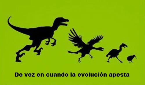 dinosaurios,evolución,kiwi,velociraptor