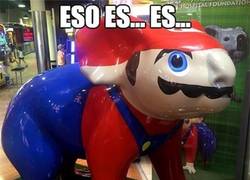 Enlace a El koala más perplejo que he visto nunca, y con razón