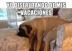 Enlace a No faltan los aburridos en la vida