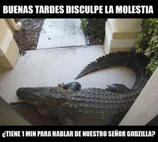 Meme_otros - Testigos de Godzilla