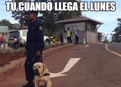 Enlace a Vamos, que hay que trabajar