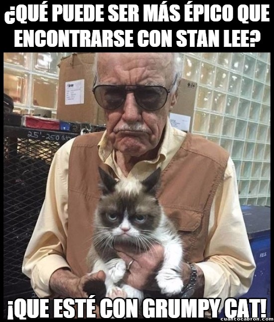 doble autográfo,encuentro,épico,grumpy cat,leyenda,Marvel,meme,Stan Lee