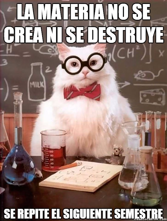 CC,gato,Materias,química,Yo