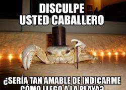 Enlace a Indicaciones con elegancia