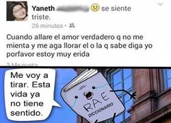 Enlace a Cuanto daño hacen a la RAE