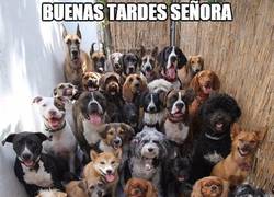 Enlace a Cuando tocan a tu puerta y...