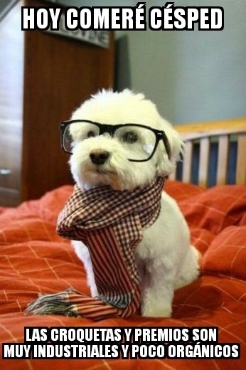 Meme_otros - Un perro hipster que se respete debe comer orgánico y sin procesar