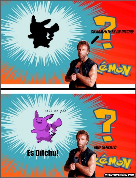 Chuck Norris,Ditchu,Pikachu,Pokémon