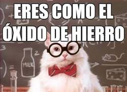Enlace a Una forma inteligente de insultar