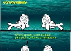 Enlace a La apuesta de la foca