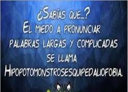 Enlace a Creo que no es el mejor nombre para una fobia así