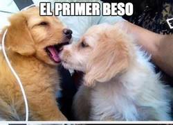 Enlace a Todos tenemos problemas en ese momento