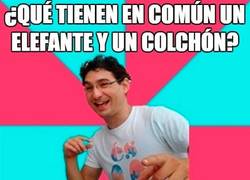 Enlace a ¿Los elefantes usan colchones?