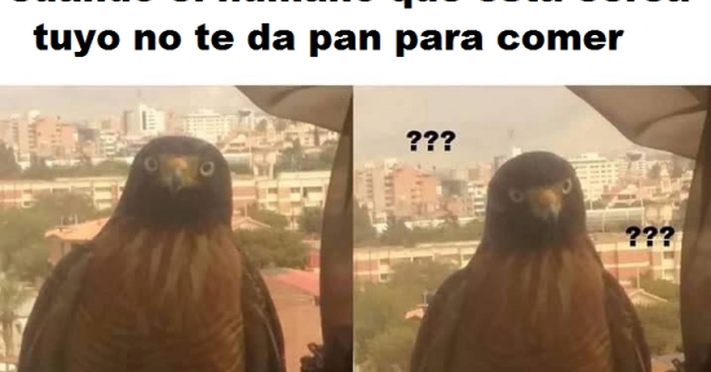 Cunto Cabrn Esto Es Demasiado Raro Cunto Cabrn Esto Es Demasiado Raro