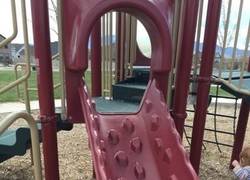 Enlace a ¡Bienvenida al parque de Dolan!