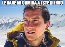 Enlace a Es un gran superviviente