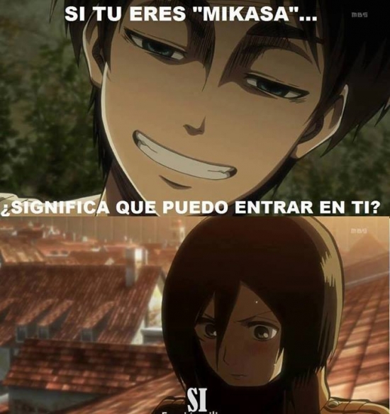 Meme_mix - Mikasa en su casa