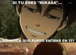 Enlace a Mikasa en su casa