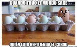 Enlace a Especialmente en educación primaria