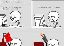 Enlace a Son esas cosas que nunca deberías de buscar en internet...