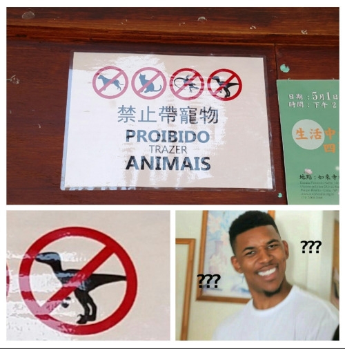 animales,dinosaurio,no,pero qué diablos,prohibido,wtf