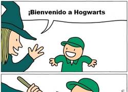 Enlace a No todos tienen la oportunidad de ser magos en Hogwarts...