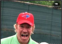 Enlace a Esto es lo que pasa al jugar con Chuck Norris