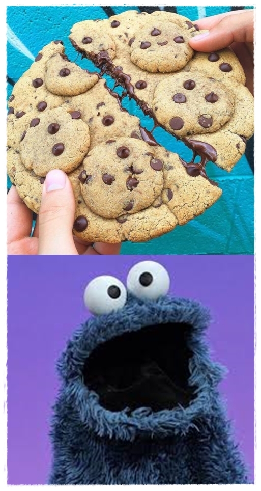 Meme_otros - ¡Y ahora sacaron galletas con cobertura de galletas!