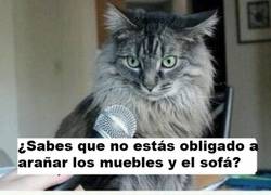 Enlace a Él no lo sabía esto...