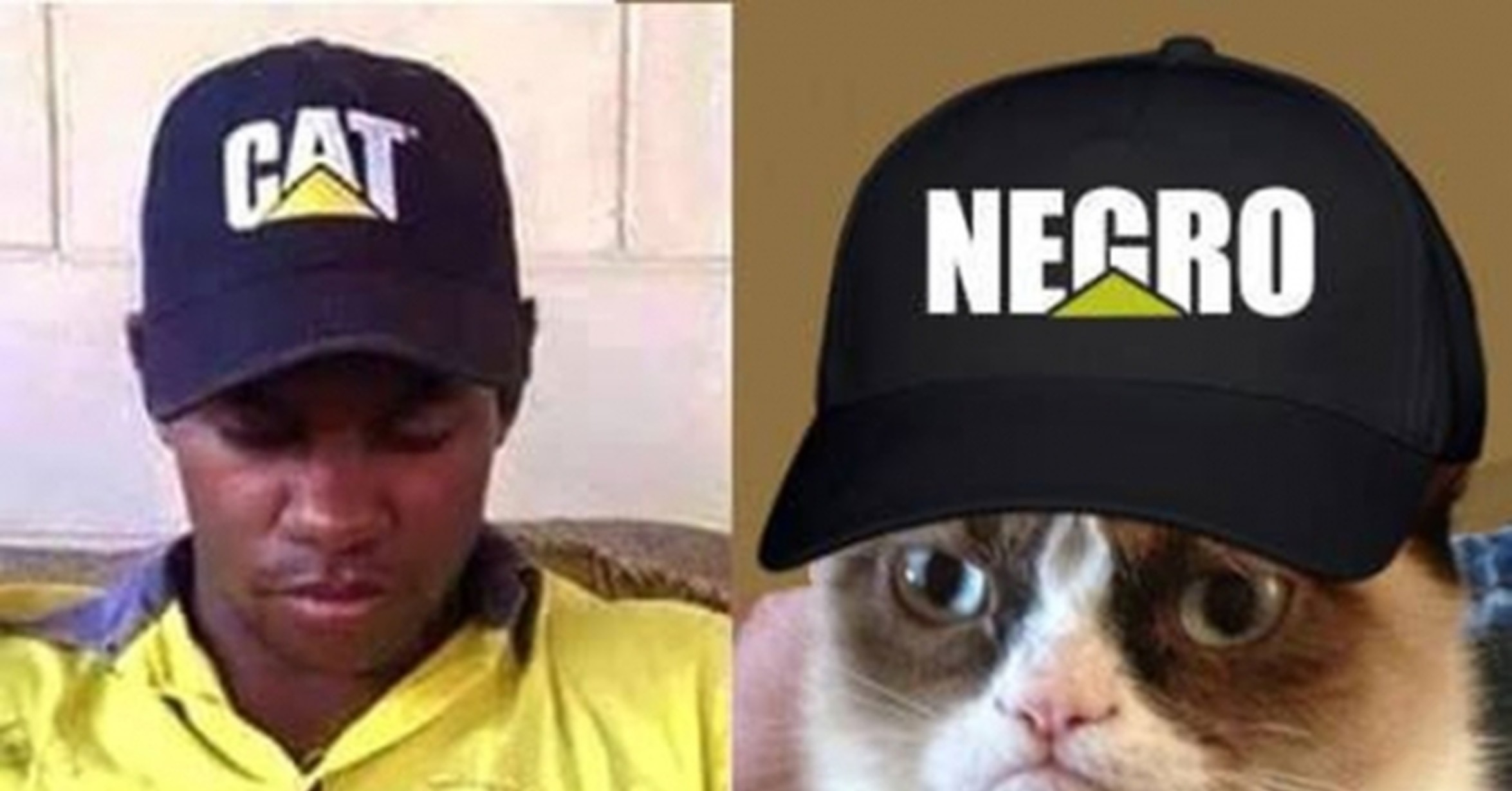 Cunto Cabrn El Gato Ms Racista Del Mundo Cunto Cabrn El Gato Ms Racista Del Mundo