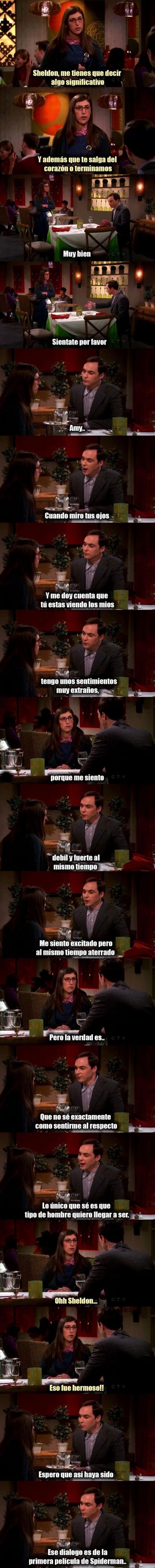 Meme_otros - Sheldon es todo un poeta, PERO TIENE UN SECRETO