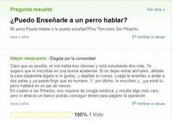 Enlace a Preguntas estúpidas en Yahoo!