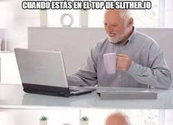 Enlace a Malditas serpientes enanas...