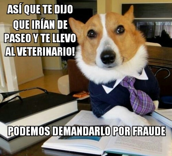 Meme_otros - Fraude canino